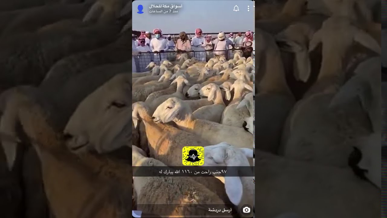 تغطية حراج سوق المنصى 1442/03/14
