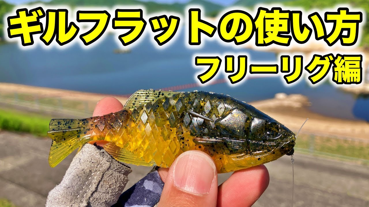 ギルフラットの使い方。フリーリグは簡単にバスが釣れるのでおすすめです