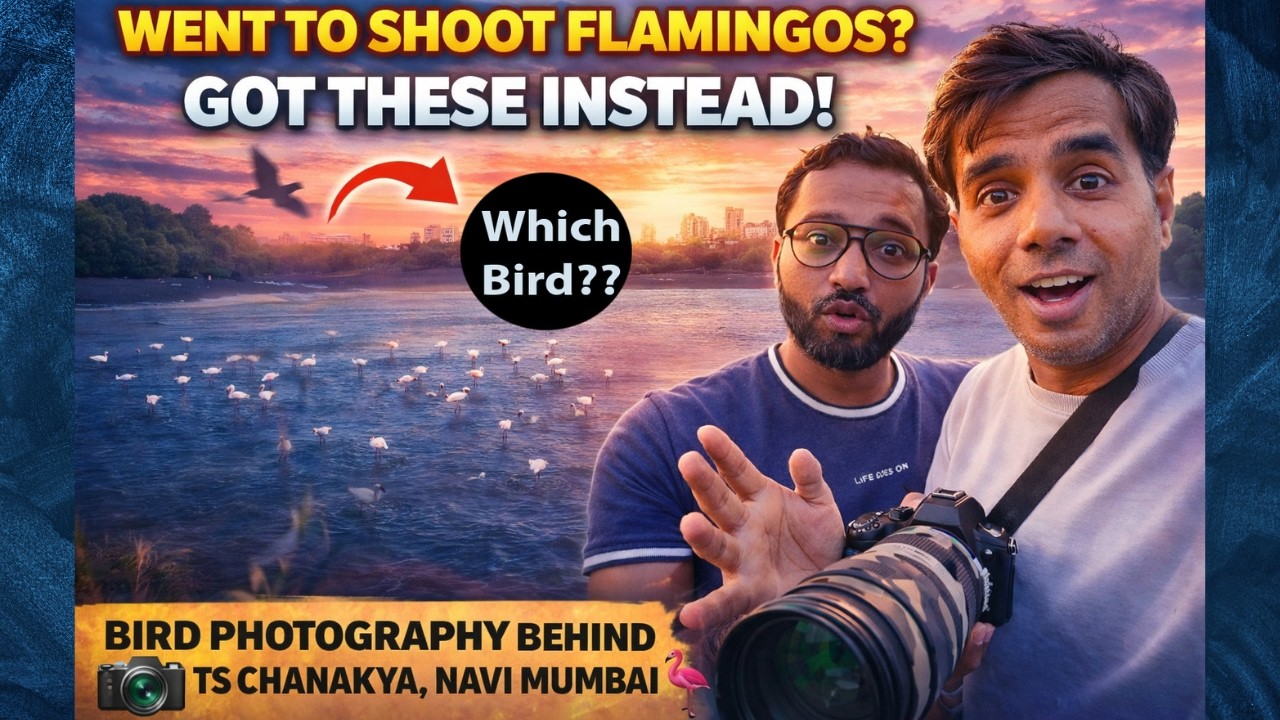 Went to Shoot Flamingos… Got These Instead! 🦩📸 | Bird Photography Behind TS Chanakya, Navi Mumbai