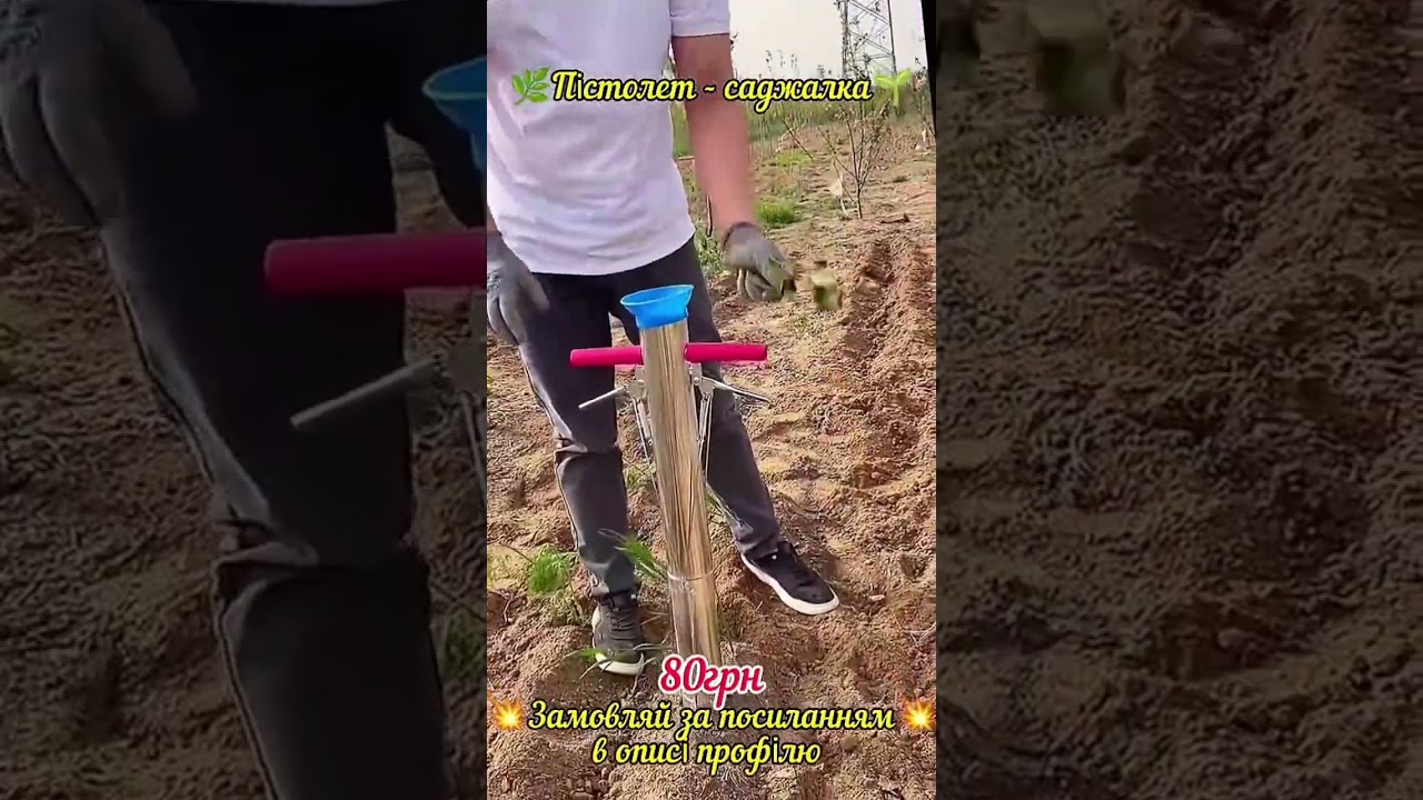 Каталог за посиланням у описі профілю ❗️ #дизайн #оформлення #diy #ідеяподарунку #саджалка