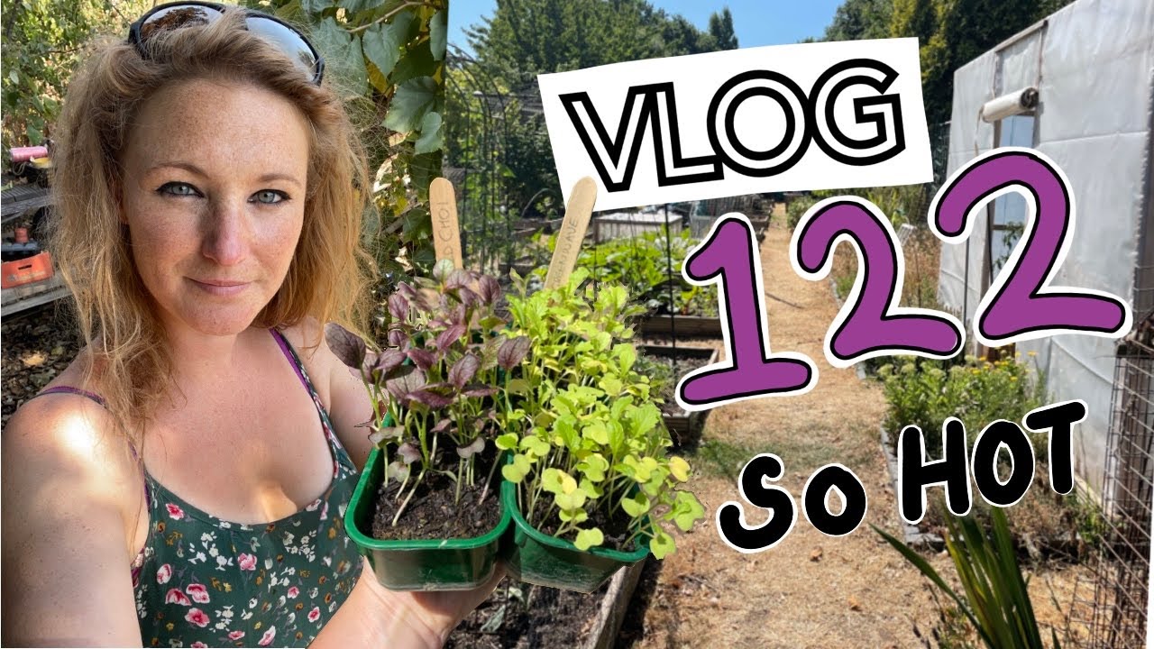 Ep122 - Still No Rain! August seed sowing and planting out || Plot 37