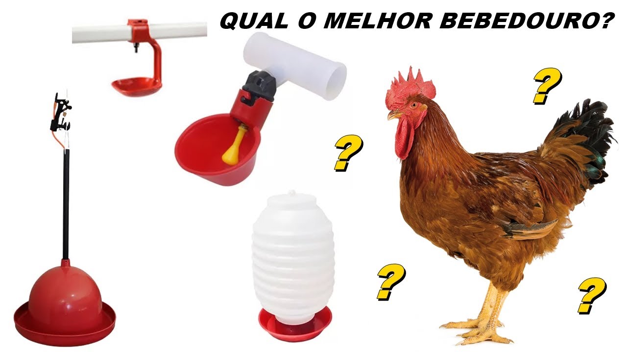 QUAL O MELHOR MODELO DE BEBEDOURO AUTOMÁTICO PARA GALINHAS?