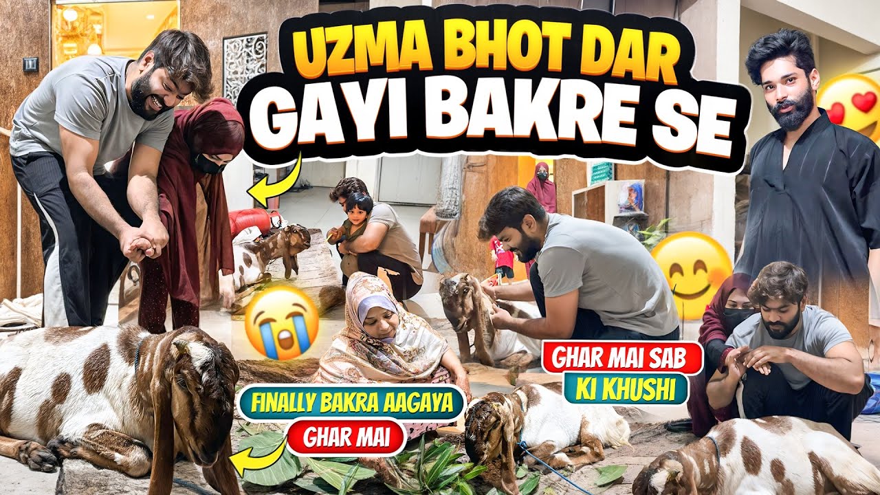 Uzma Bhot Dar Gayi Bakre Se😰Finally Bakra Aagaya Ghar Mai🥹Ghar Wale Khush😍Aman’s Family