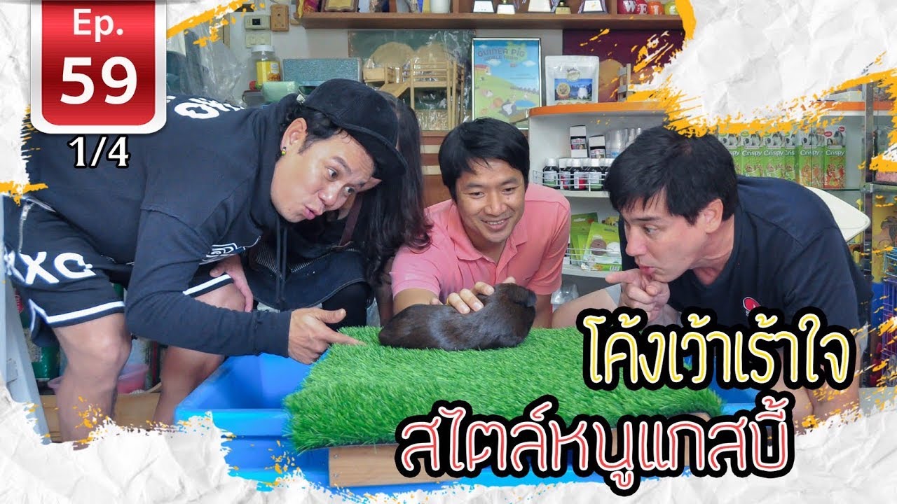 Guinea pig หนูแกสบี้ ปีหนูทอง - เพื่อนรักสัตว์เอ้ย EP 59 [1/4]