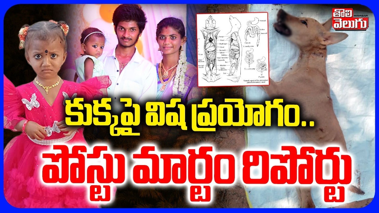 కుక్కపై విష ప్రయోగం..| Big Twist In Tuni Jahnavi Missing Case | Dog Postmortem Report |  Tolivelugu