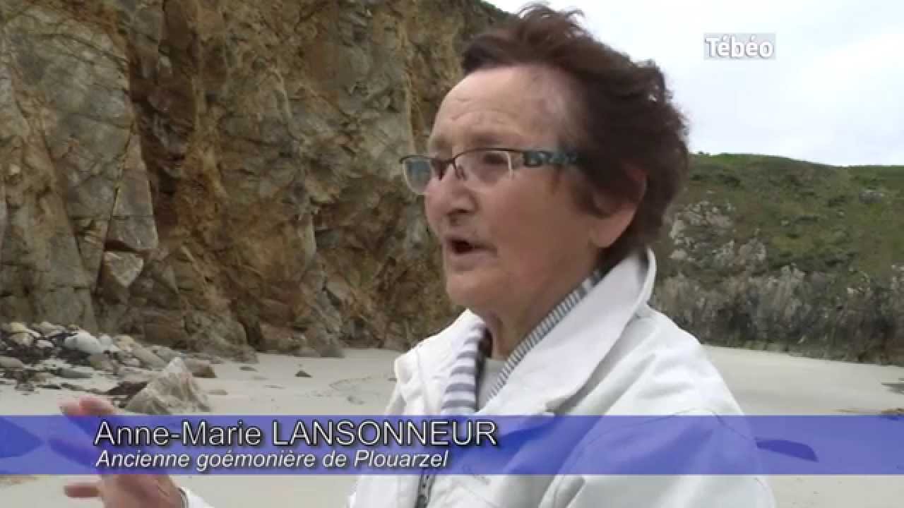 La récolte des algues autrefois à Plouarzel
