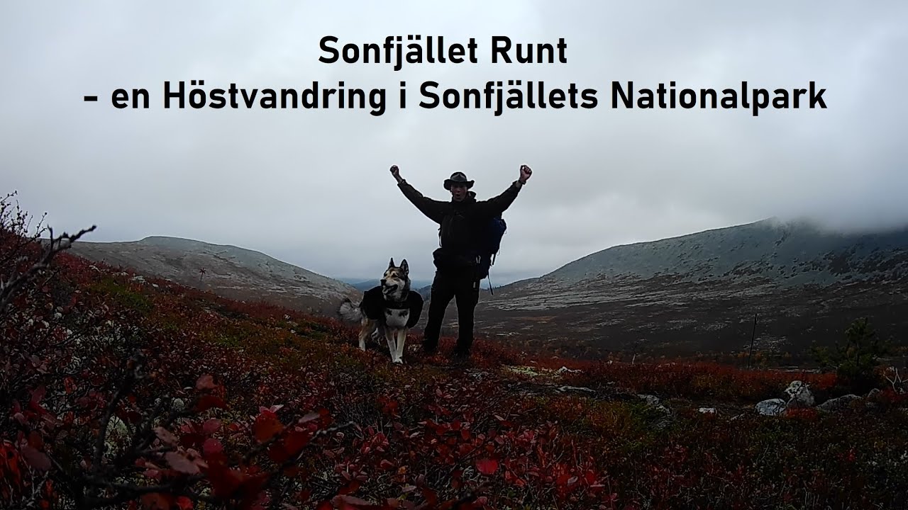 Sonfjället Runt - en Höstvandring i Sonfjällets Nationalpark