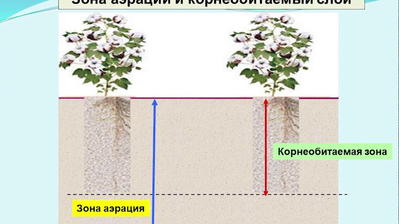 Ирригация ва мелиорация