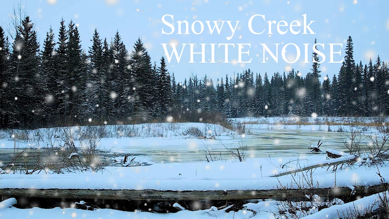 Snowy Creek Sounds in Calgary ❄️ Winter Stream White Noise for Sleep (2 Hours)