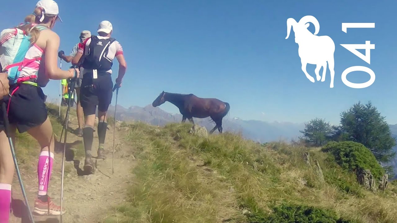 OCC 2016 - Osiers - Champex - Chamonix