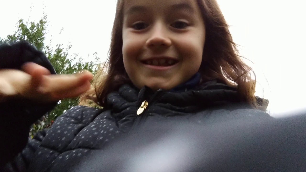 La campagna di Greta