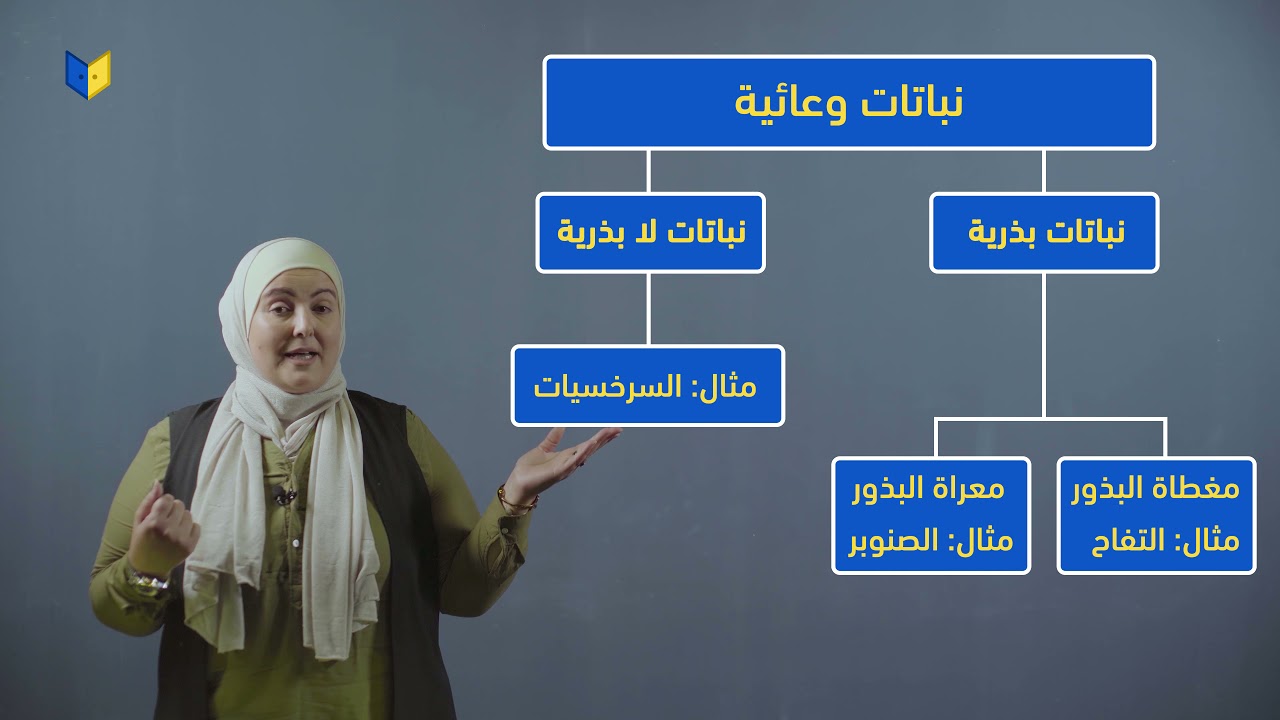 علوم صف سابع-تصنيف النباتات
