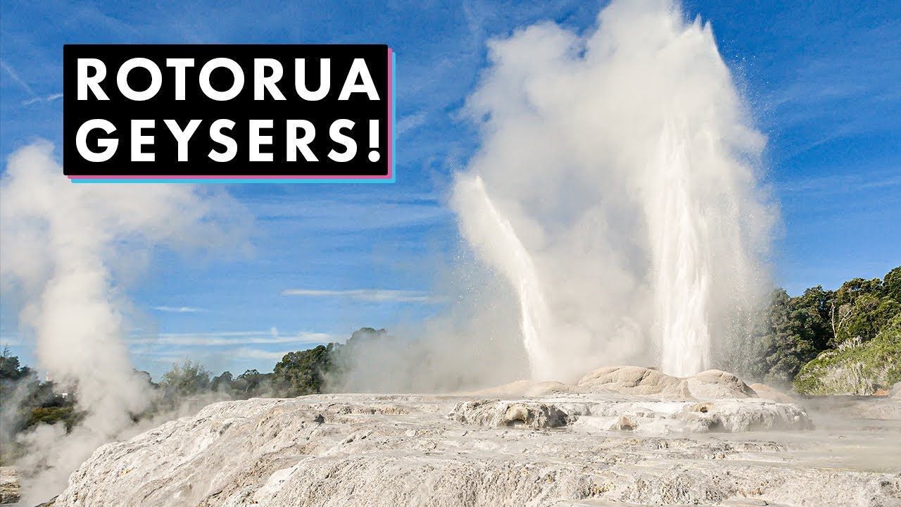 Must-see Geothermal Attractions in Rotorua, NZ! | Te Puia + Blue Springs, Putāruru!