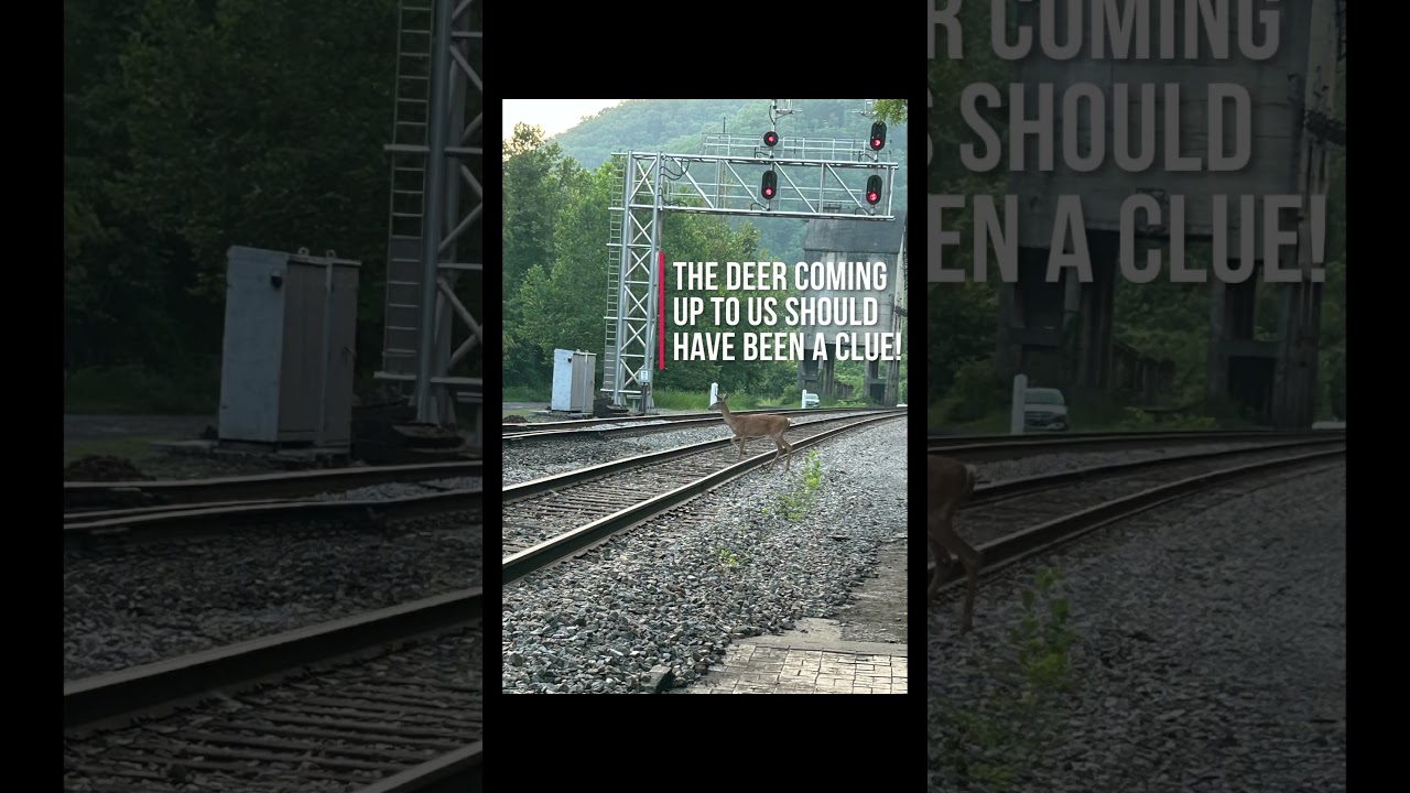GHOSTS Found In Our Photos Of A GHOST TOWN! Early 1900&rsquo;s Town Of &lsquo;Thurmond&rsquo; West Virginia!