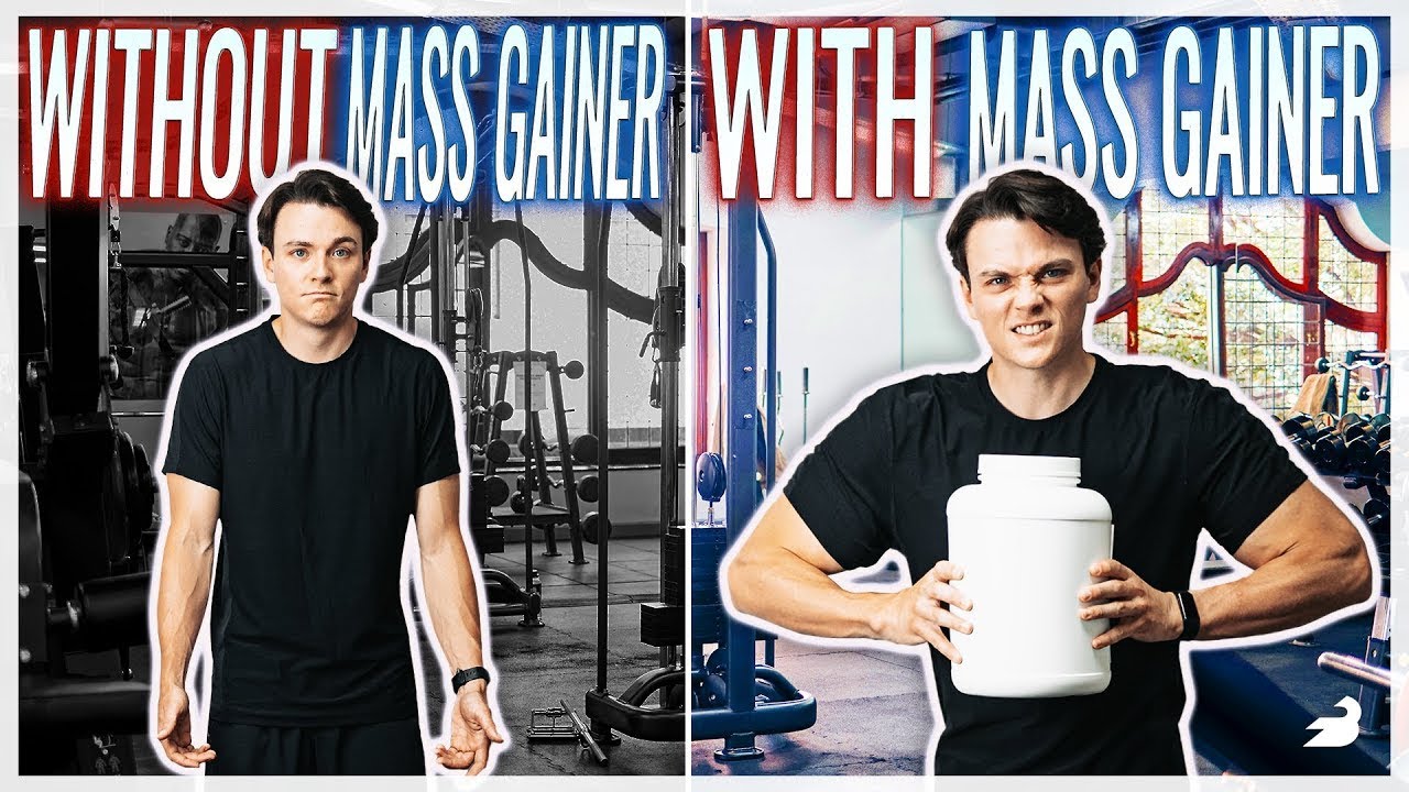 Gain Central Station — The BEST Mass Gainers in 2024