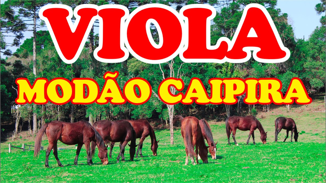 SOM DA VIOLA CAIPIRA - MODÃO SERTANEJO RAIZ - Sucessos do Passado para recordar no Futuro