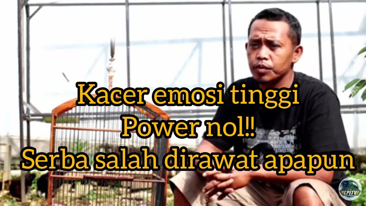Kacer emosi tinggi nol tenaga/power