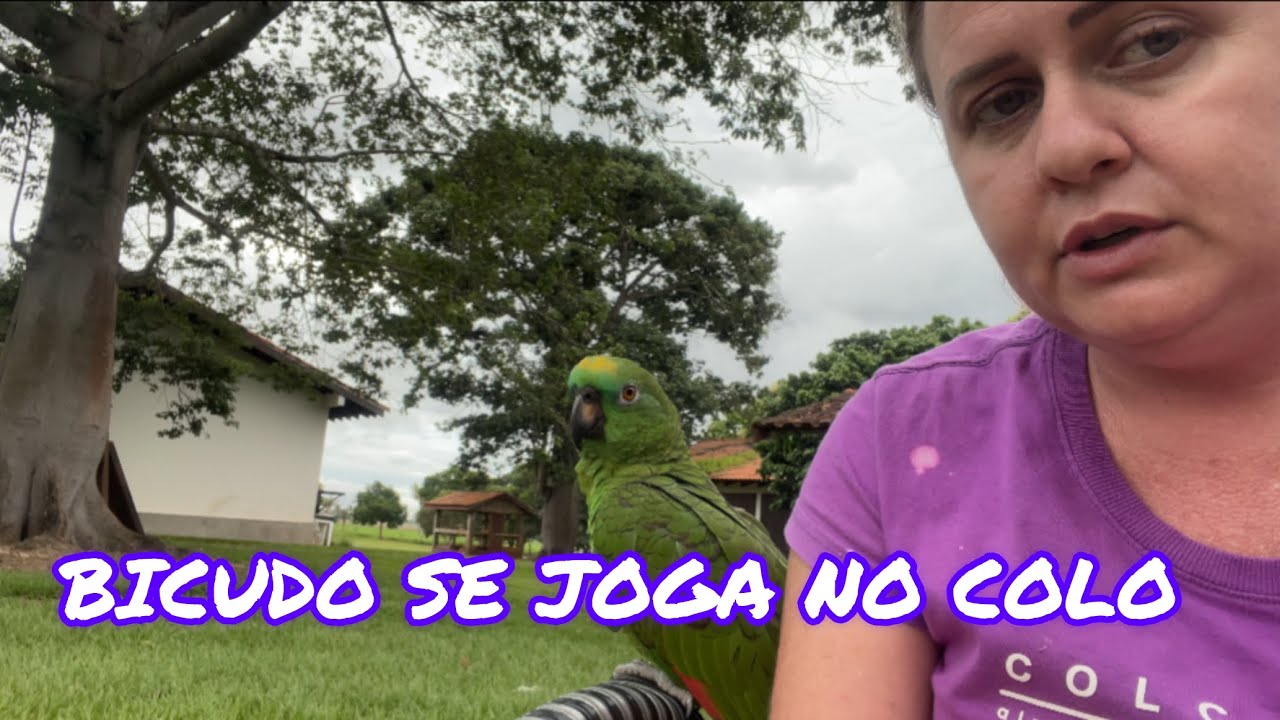 Se joga no colo querendo carinho