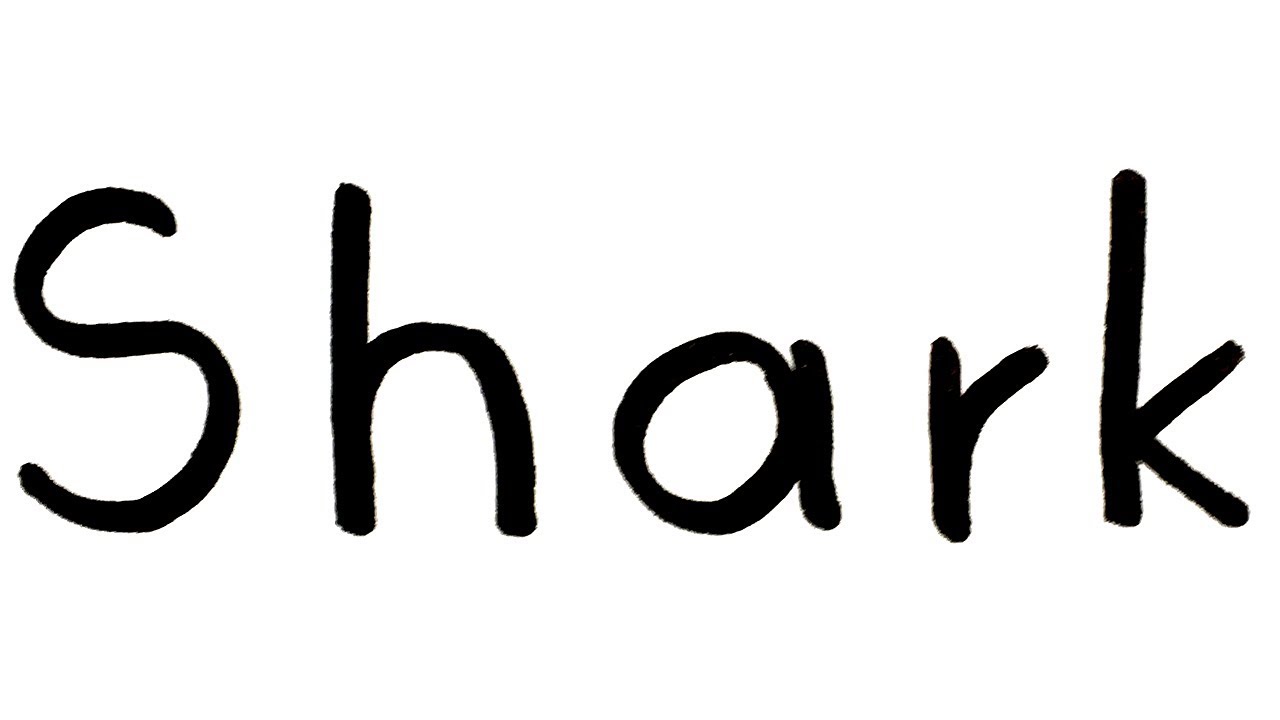 Artist Turns Everyday Words Into Pictures
