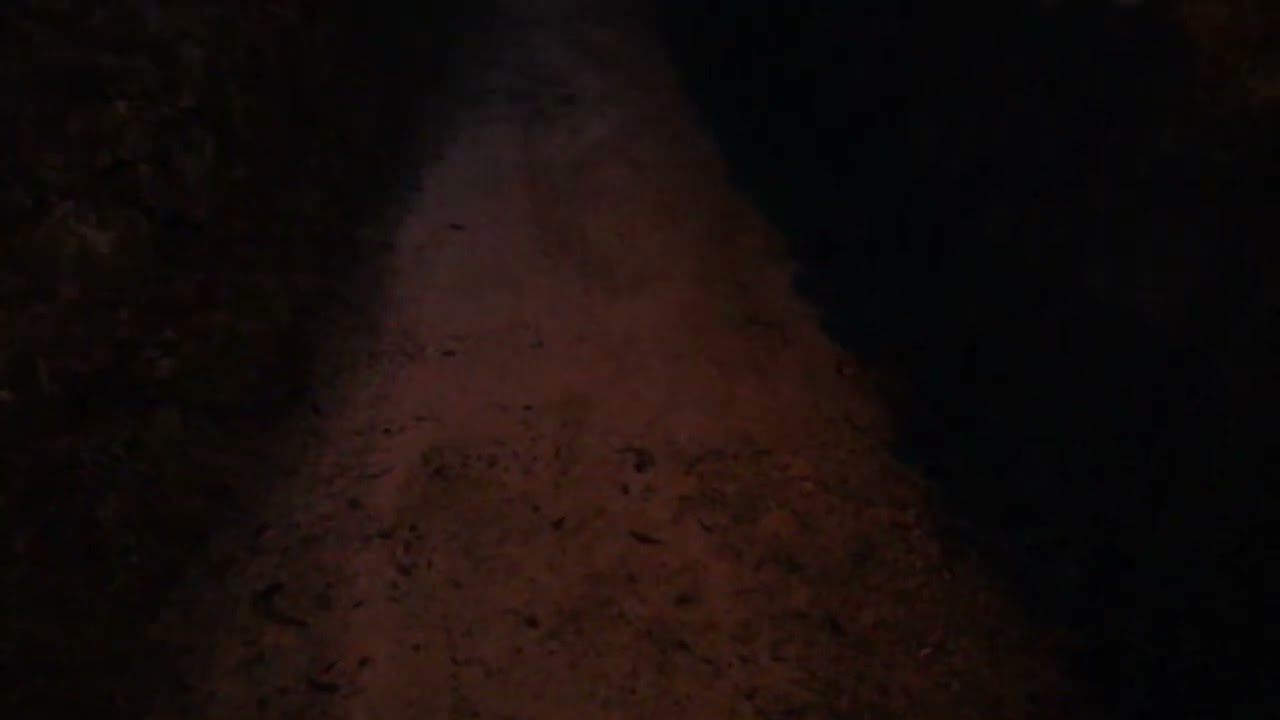 Von der Dunkelheit ins Licht