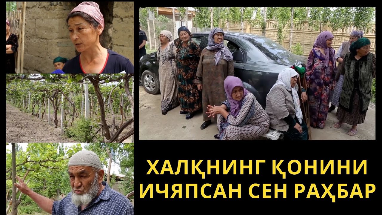 Асакада деҳқонларни нега қақшатишяпти? Узумбоғнинг асл эгалари ким?