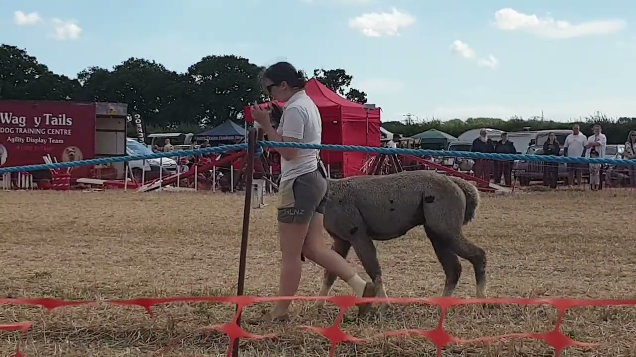 Raveningham Country Fair 30/8/25