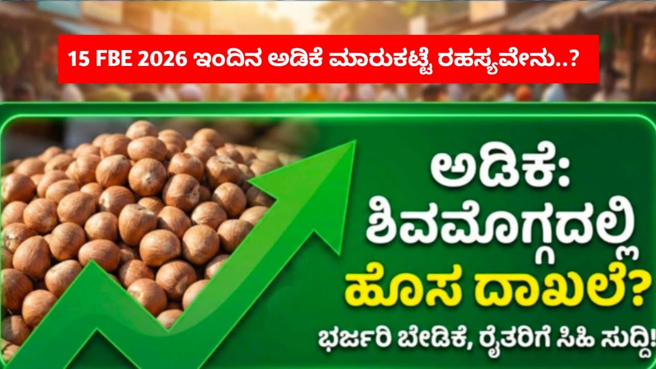 😱😱ಶಿವಮೊಗ್ಗ ಮಾರುಕಟ್ಟೆಯಲ್ಲಿ ಇತಿಹಾಸ ಸೃಷ್ಟಿಸಿದ ಅಡಿಕೆ,, Areca nut creates history in Shivamogga market 