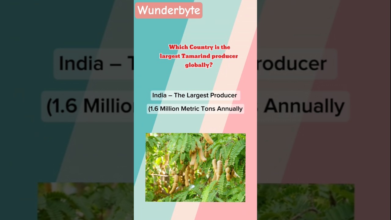 The World&rsquo;s Leading Tamarind Producer#facts #top #short