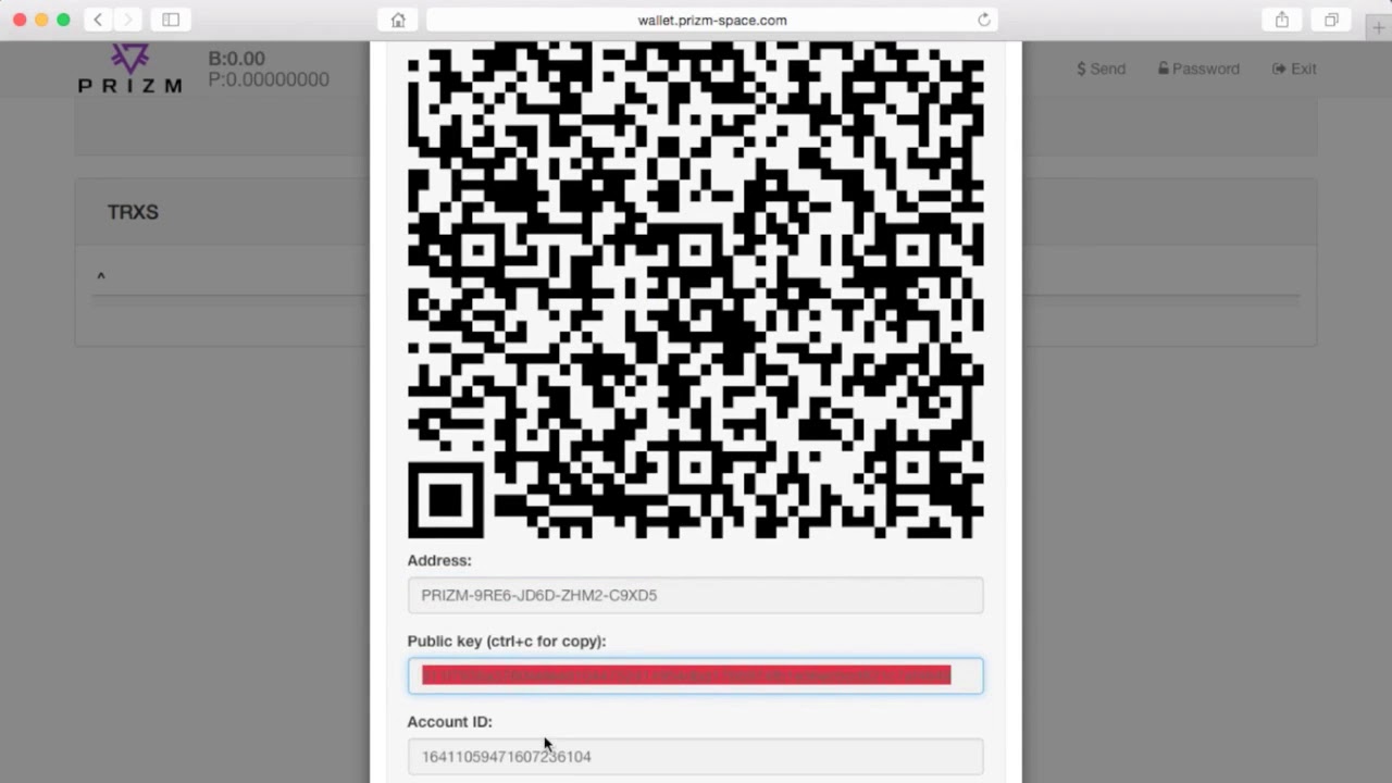 PRIZM Wallet   инструкция   создание, работа, использование КОШЕЛЬКА
