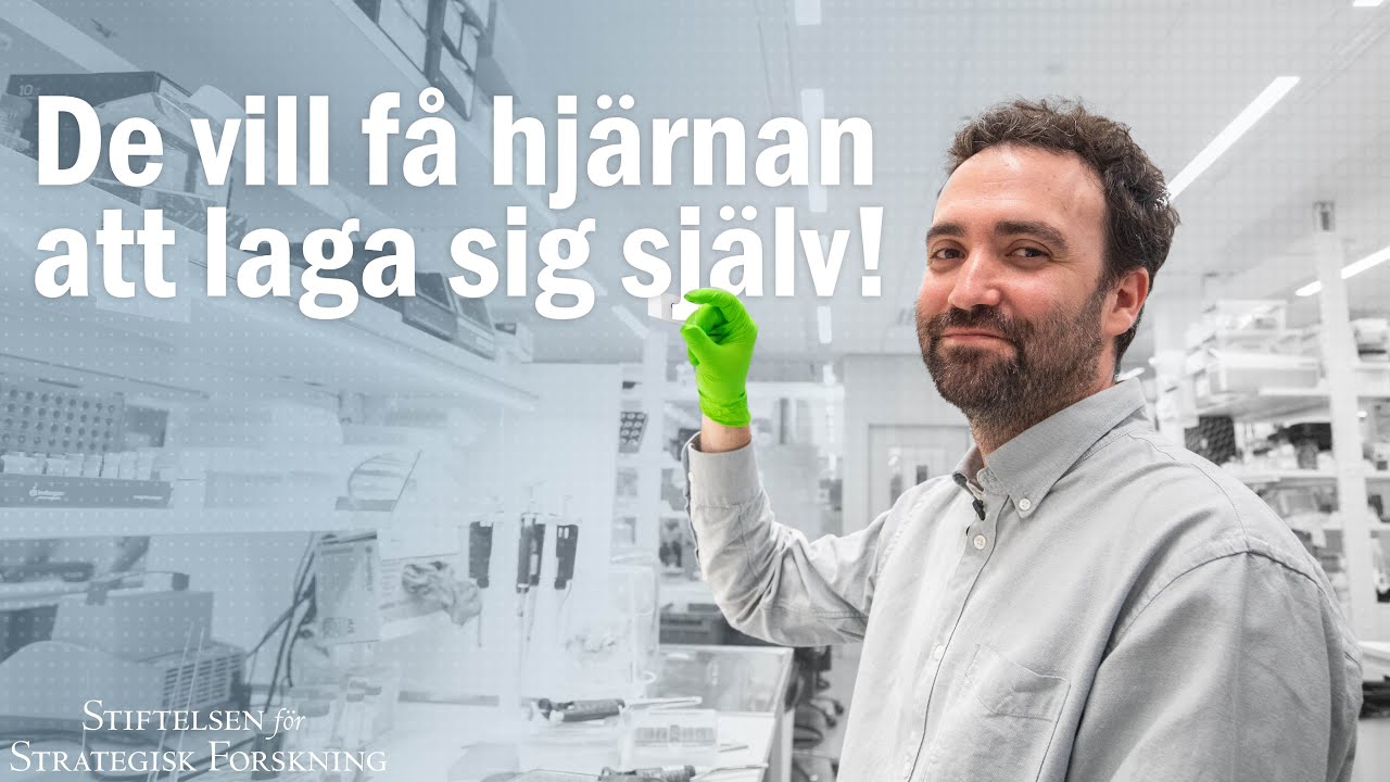 De lär nervcellerna att återskapas!