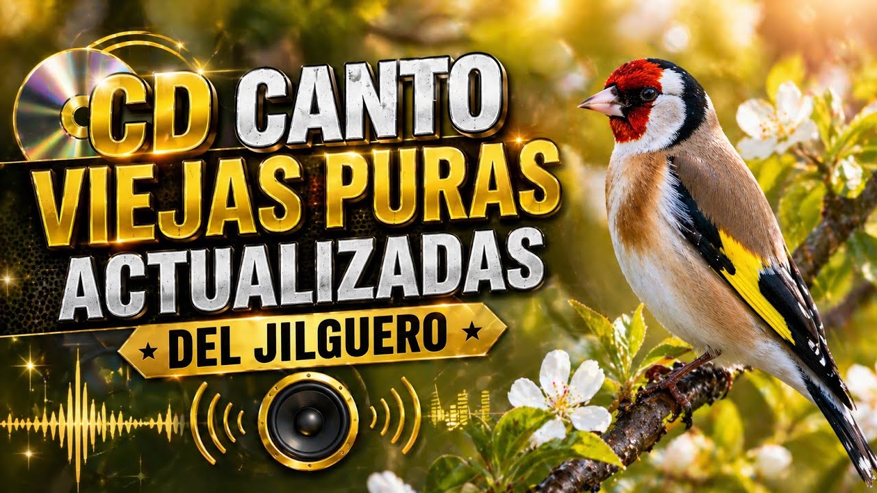 CD CANTO VIEJAS PURAS ACTUALIZADAS DEL  JILGUERO