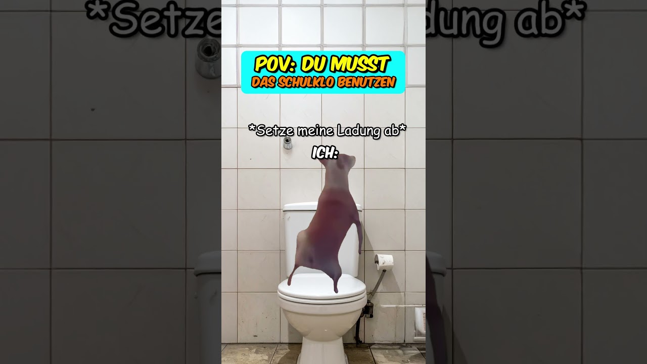 PoV: Du MUSST das Schulklo benutzen 