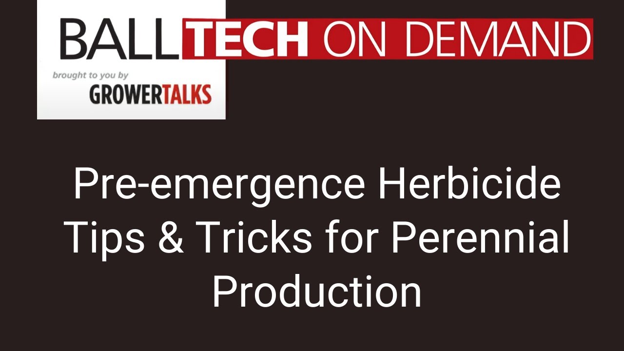 Pre-emergence Herbicide Tips & Tricks for Perennial Production