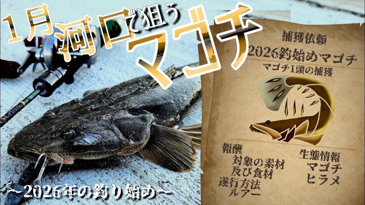 1月の河口で狙うマゴチ~2026年の釣り始め~