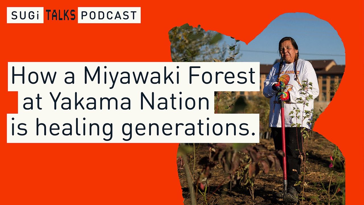 Community: How a Miyawaki Forest at Yakama Nation is healing generations | Rehabilitation