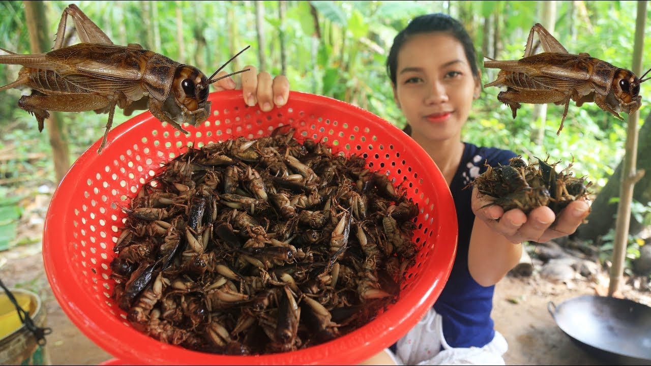 Yummy cooking Crickets recipe - Cooking skill