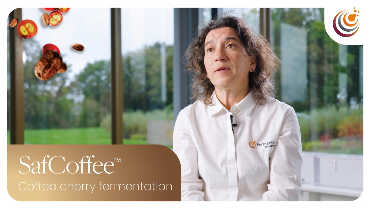 SafCoffee™ Range: Controlled Coffee Cherry Fermentation Solutions by Fermentis