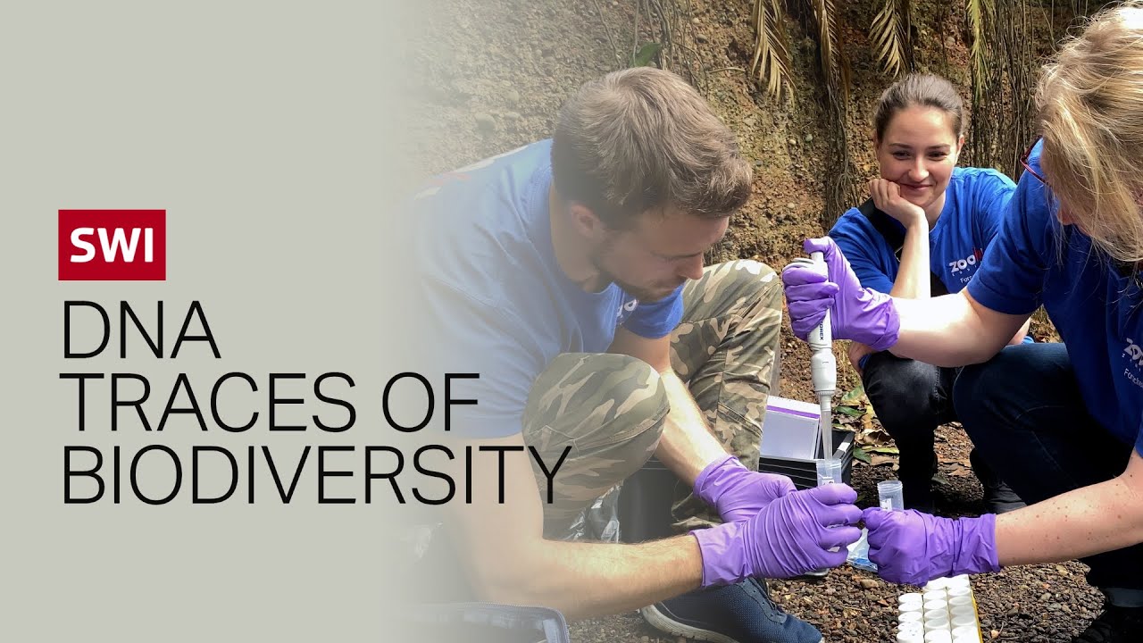 Extracting eDNA traces of biodiversity in water, air and soil
