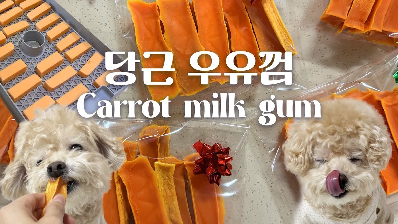 강아지 당근우유껌 만들기ㅣ강아지 수제간식 만들기ㅣMaking dog milk gumㅣHomemade Dog Treatsㅣ메이드인랩