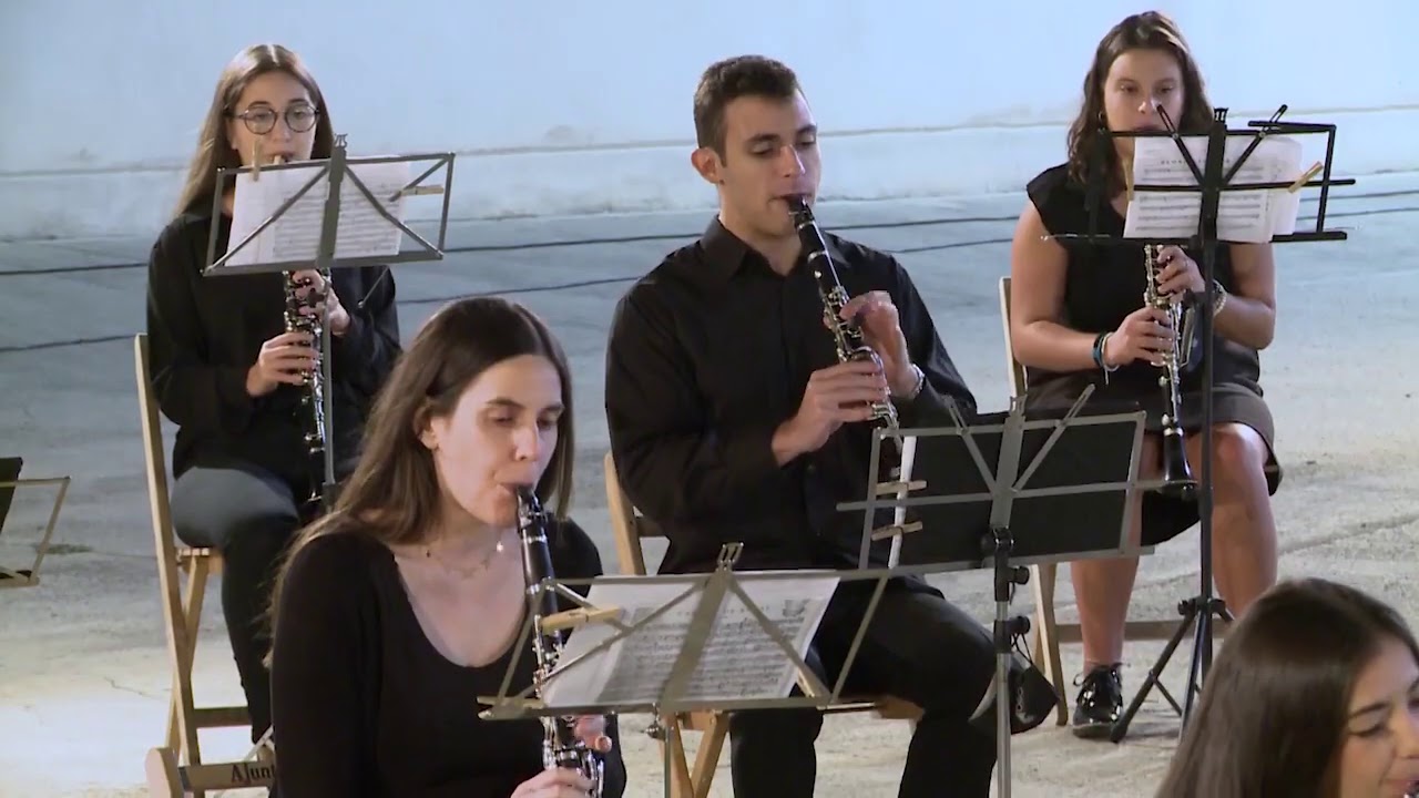 PEÑA TAURINA VITORIANA (pasodoble) - José María Martín Domingo / Banda Simfònica d'Algemesí