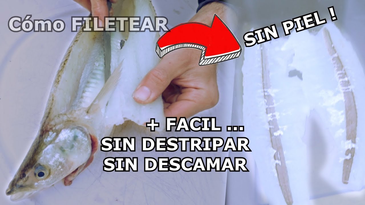 LIMPIA PESCADO SIN DESTRIPAR Y SIN SACAR ESCAMAS. FILETEAR SIN PIEL. Filet de PEJERREY.