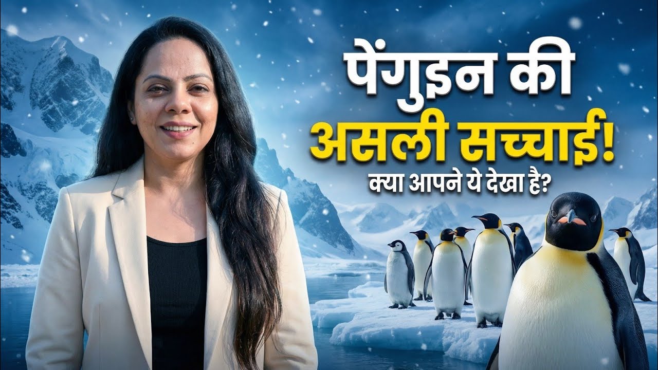 Penguin Facts । Emperor Penguin Life । दुनिया की सबसे खतरनाक ठंड में ये कैसे ज़िंदा रहते हैं?