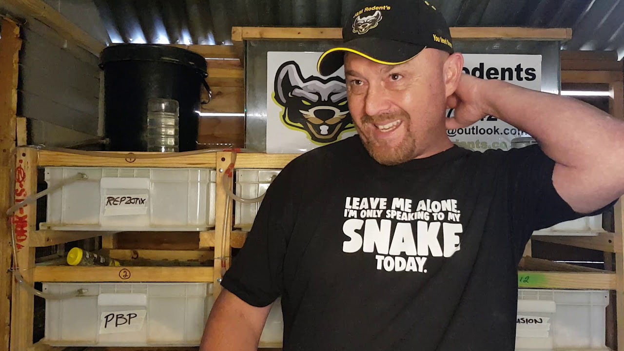 The Rat Shed - JM-Rodents