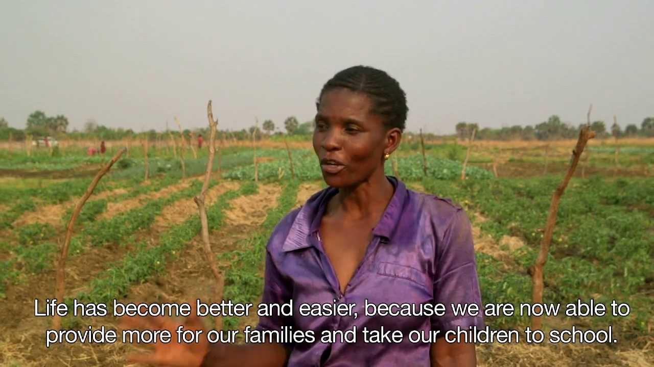 Africa Irrigation Project (Zambia)--Long Version