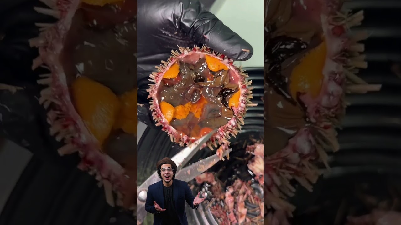 Peeling Sea Urchin 🌊✨ #koreanasmr #asmr