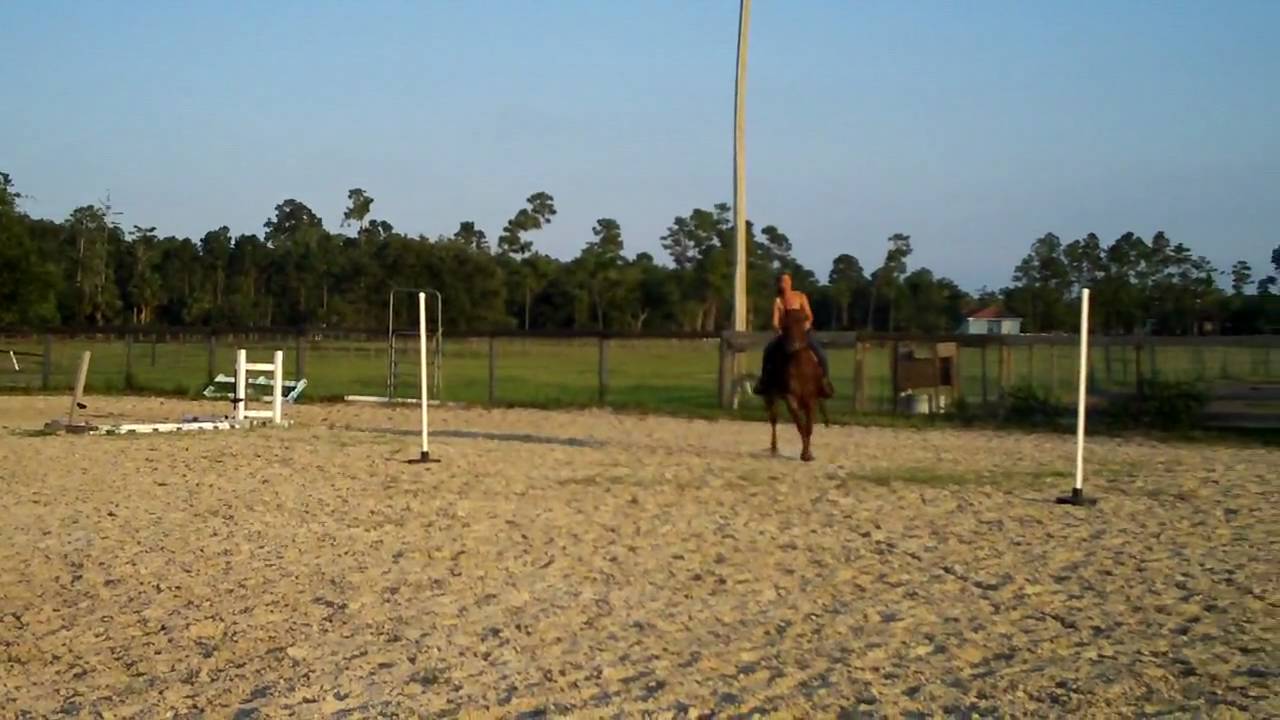 Tuff - 5 y/o QH - Learning the Poles