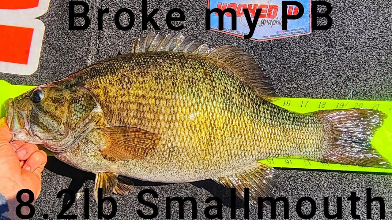 8.2lb SMALLMOUTH BASS