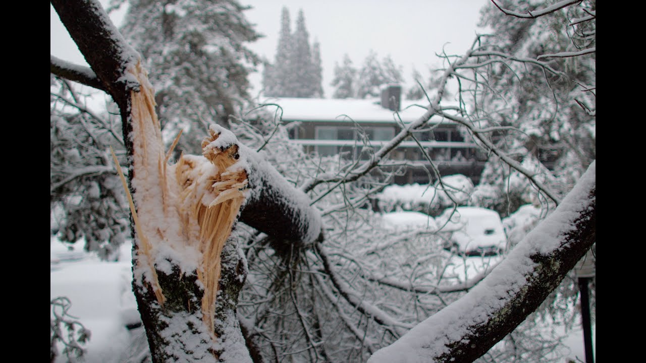 Survive Extreme Cold: Life-Saving Winter Weather Tips