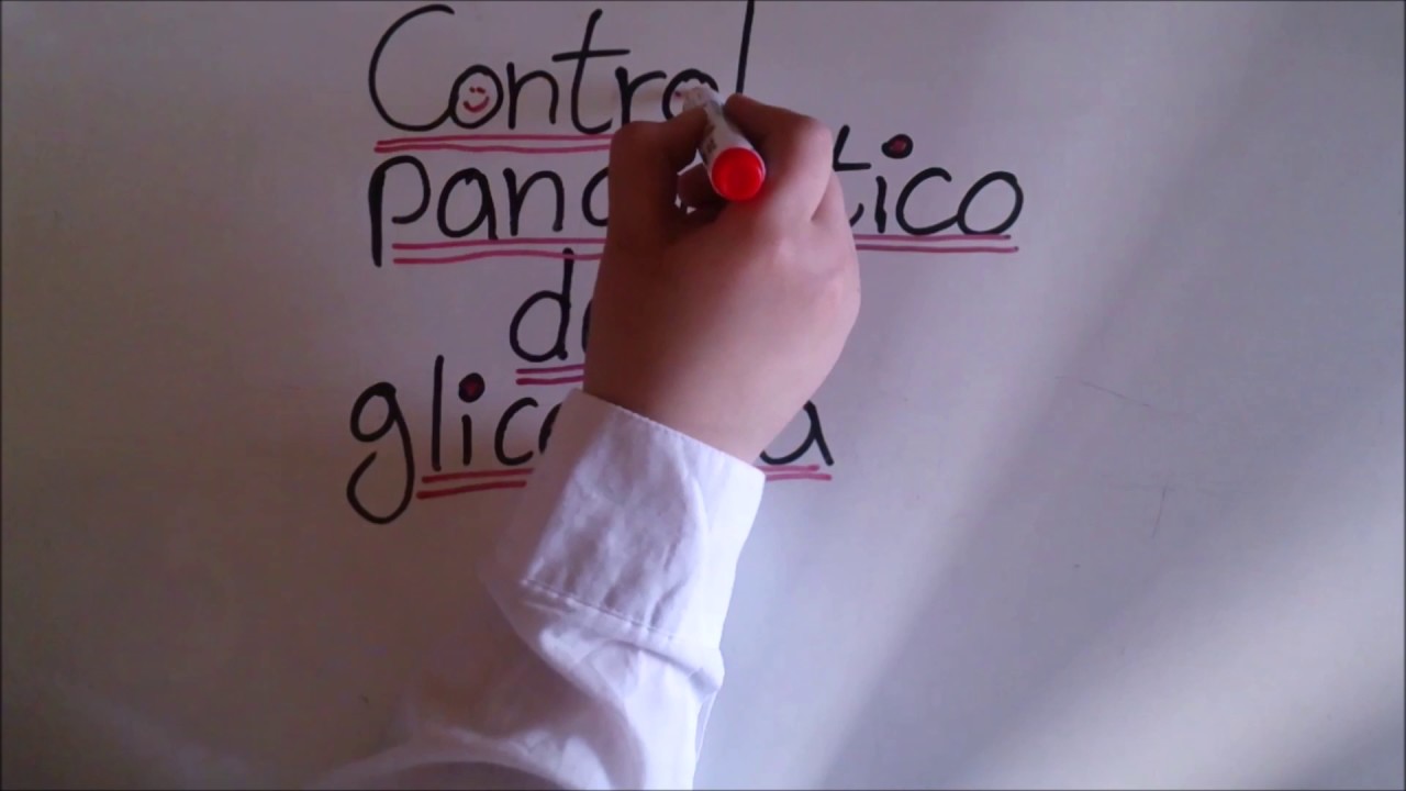 Control pancre&aacute;tico de la glicemia