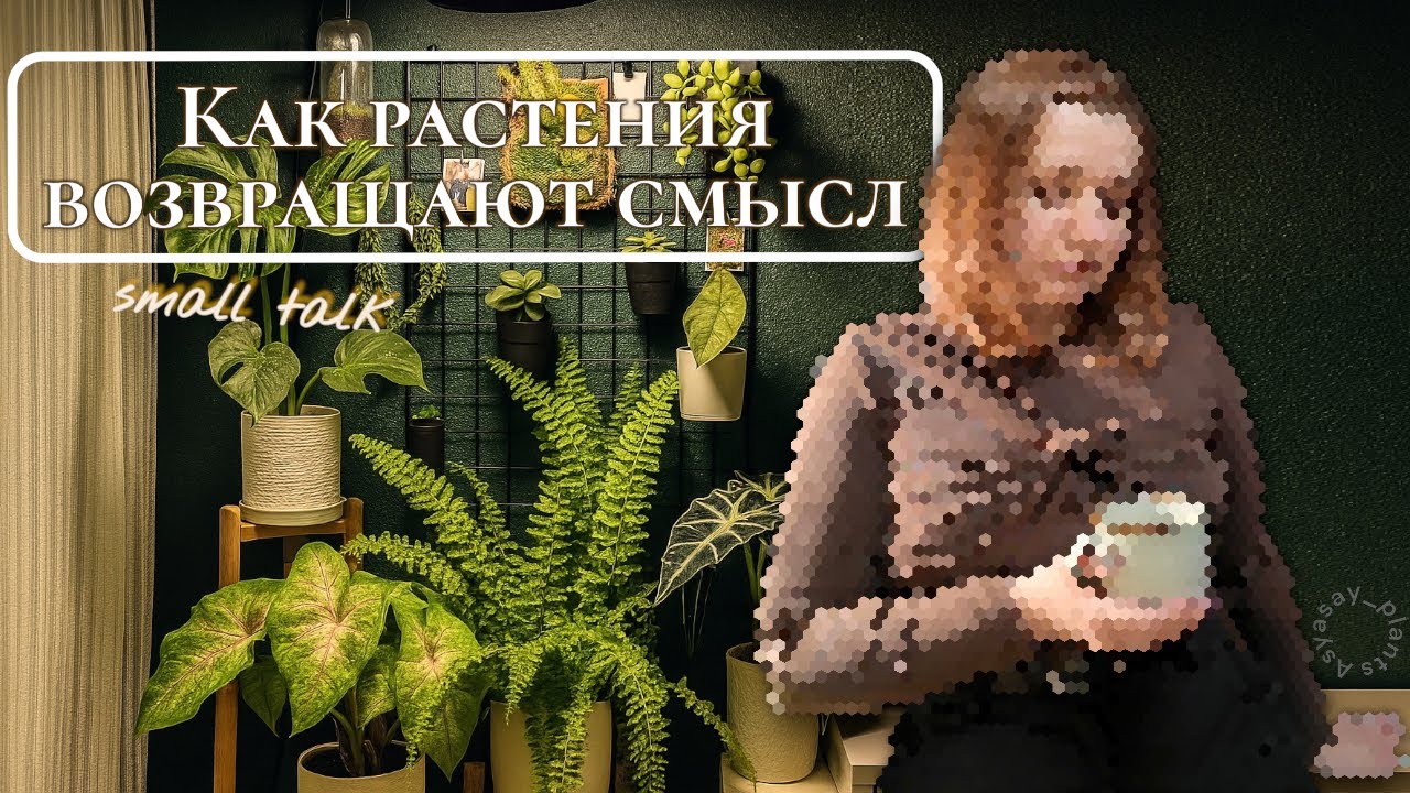 Зелёная терапия: как РАСТЕНИЯ лечат выгорание и почему рядом с ними так спокойно